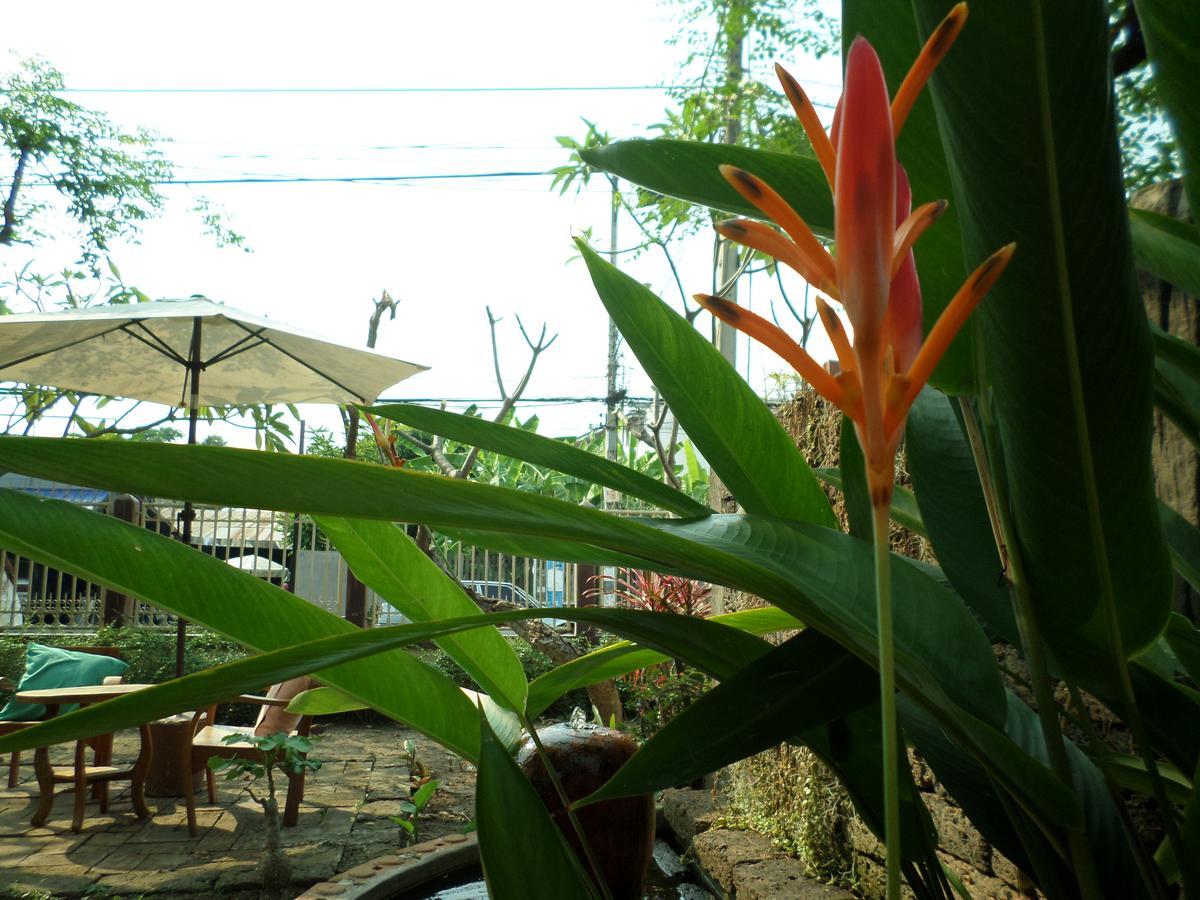 Baanwealaa Guesthouse (Adults Only) Chiang Mai Luaran gambar